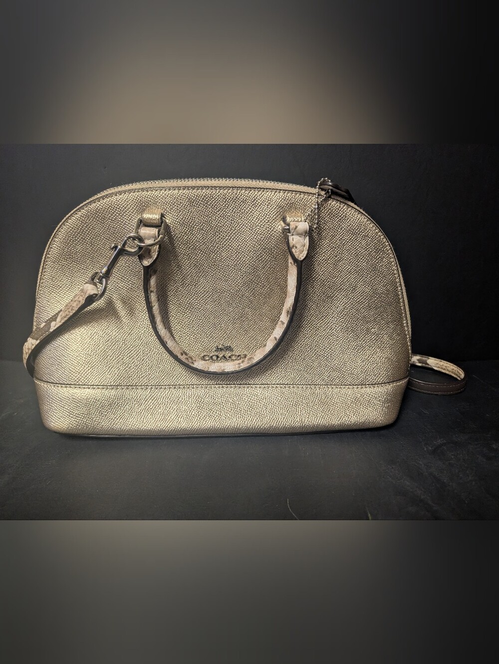 Coach Metallic Silver Leather Mini Sierra Satchel Bag F38057 Snakeskin Trim